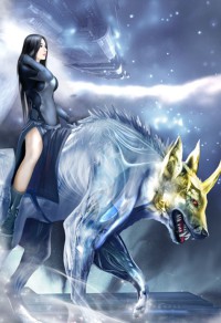 无限之次元入侵